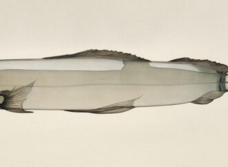 Розочка, рыба и спички