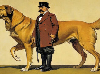 хорошие. (Указ)