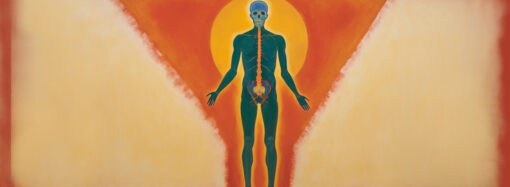 СНЯвНСдИИиМ: З