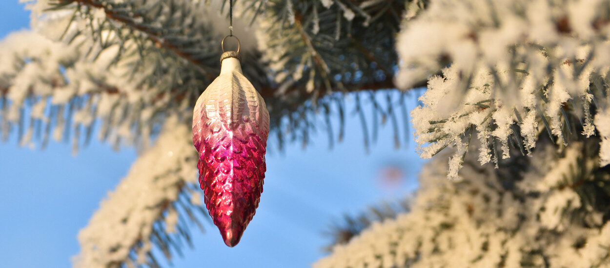 Детишкам принесла