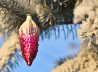 Детишкам принесла