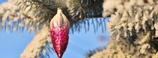 Детишкам принесла