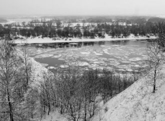 Скучные-нескучные, как халва, холмы