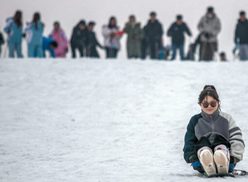 Милая дворница