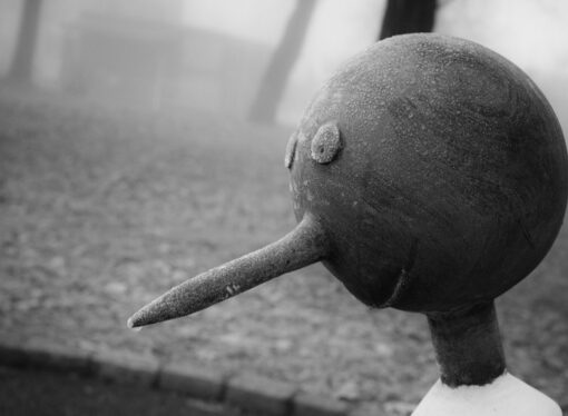 Ария Пиноккио (из оперетты Карло Коллоди «А. Толстой»)