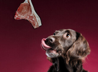 И надпись написал: