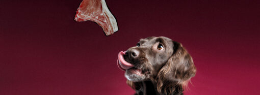 И надпись написал: